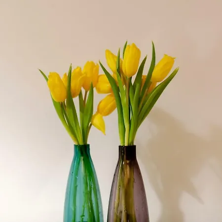 Veronaeasyapartments 베로나